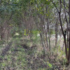 Duża działka inwestycyjna 5703m² – Kraków-Wadów
