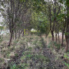 Duża działka inwestycyjna 5703m² – Kraków-Wadów