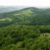Prywatny las 41 ar – Siemiechów, gm. Gromnik