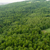 Prywatny las 41 ar – Siemiechów, gm. Gromnik