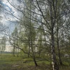 Działka budowlana na  leśnym osiedlu domów