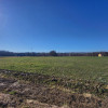 Działka Simoradz
