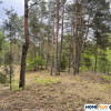 Działka w lesie 2064 m² - letniskowa i całoroczna