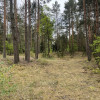 Działka w lesie 2064 m² - letniskowa i całoroczna