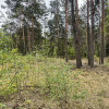 Działka w lesie 2064 m² - letniskowa i całoroczna