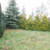 Dom, 165,80 m², Wilkanowo