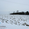 Działka Cieszyn
