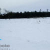 Działka Cieszyn