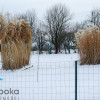 Działka Cieszyn