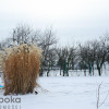 Działka Cieszyn