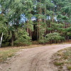 Działka,Tanowo,gm.Police,3166m2,plan-usługi.