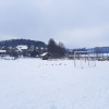 Lokal Wymój