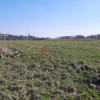 Działka Masłów Pierwszy ul. Spacerowa