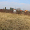 Działka Sułków