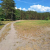 Działka Tanowo,plan-usługi,3233m2,łączna-1.74 ha.