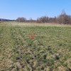 Działka Masłów Pierwszy ul. Spacerowa