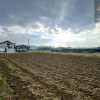 Działka Rzuchowa