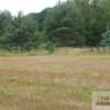 Działka Masów