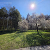 Działka Żabno