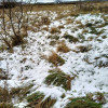 Działka 2240 m2,Kliniska Wielkie, gm. Goleniów