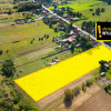 Działka Kostomłoty Drugie ul. Laskowa
