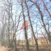 Działka Lusina ul. Brzegi