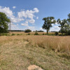 Działka Otok