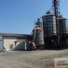 Lokal Bielice
