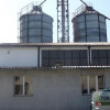 Lokal Bielice