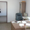 Lokal Bielice