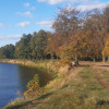 Działka Nowosiedliny