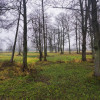 Działka Nowosiedliny