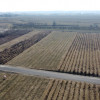Działka 22 MN 1072 m2 w Końskowoli gm. Puławy.
