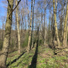 Działka Zawada