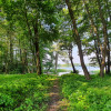 Działka Rukławki