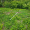 Działka 5000 m² Piotrkowice
