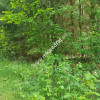 Działka 5000 m² Piotrkowice