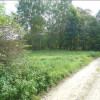 Działka Skolity