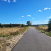 Działka Jelonki