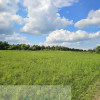 Działka budowlana 960 m² – Kosówka