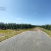 Lokal Aleksandria ul.  