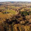 Działka leśna 78,13 ar Tuchów