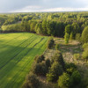 Działka o  pow. 1,63 ha w Karolowie gm. Chotcza.