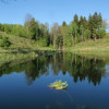 Działka 2.3103ha,m.Bobolice,las,dr.asfaltowa.