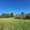 Działka Jelonki