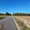 Działka Jelonki