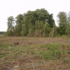 Działka Klembów