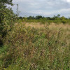 DZIAŁKA PYRZYCE GM. PYRZYCE POW.3001M2.