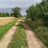 DZIAŁKA PYRZYCE GM. PYRZYCE POW.3001M2.