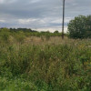 DZIAŁKA PYRZYCE GM. PYRZYCE POW.3001M2.